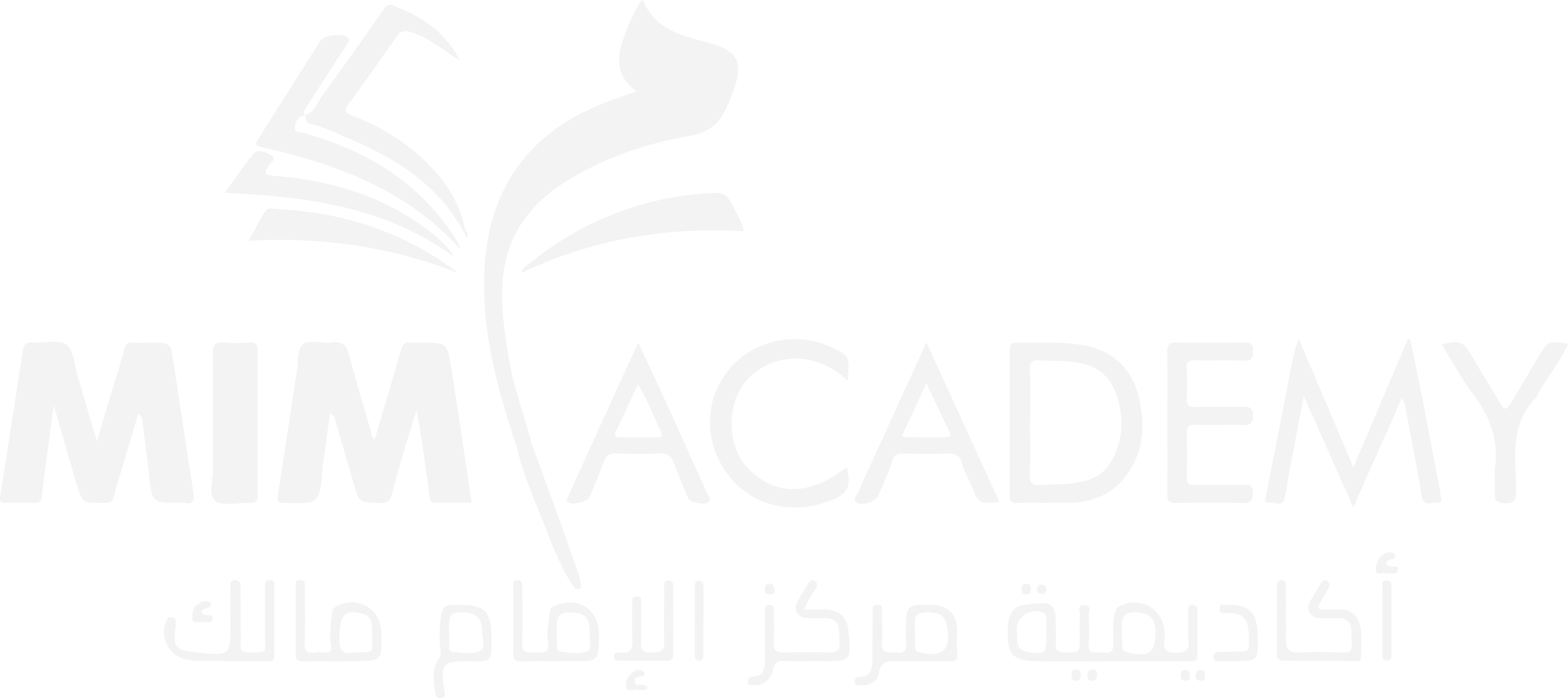 MIM Academy